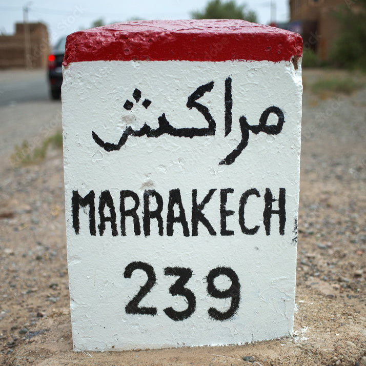 Marrakech: Atlasgebergte, Ourika-vallei, waterval en lunch